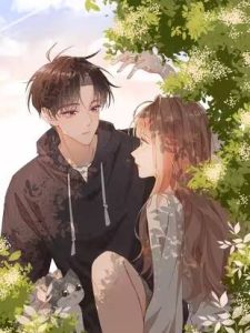 Chị Gái Lại Toang Nữa Rồi