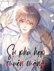 Sự Phù Hợp Muộn Màng